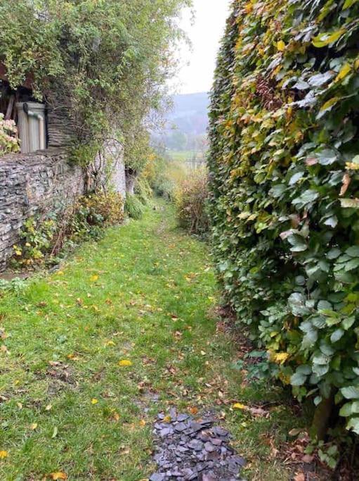 Lovely Peaceful 2 Bed Cottage Llandderfel Extérieur photo